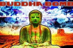 History of Electronic Music with DJ Buddha Bomb